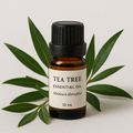 LitTerra 澳洲茶樹精油 10 mL｜100% 純天然 Melaleuca alternifolia 抗菌淨化芳療精油 LitTerra Australian Tea Tree Essential Oil 10 mL | 100% Pure Melaleuca alternifolia Antibacterial Aromatherapy Oil