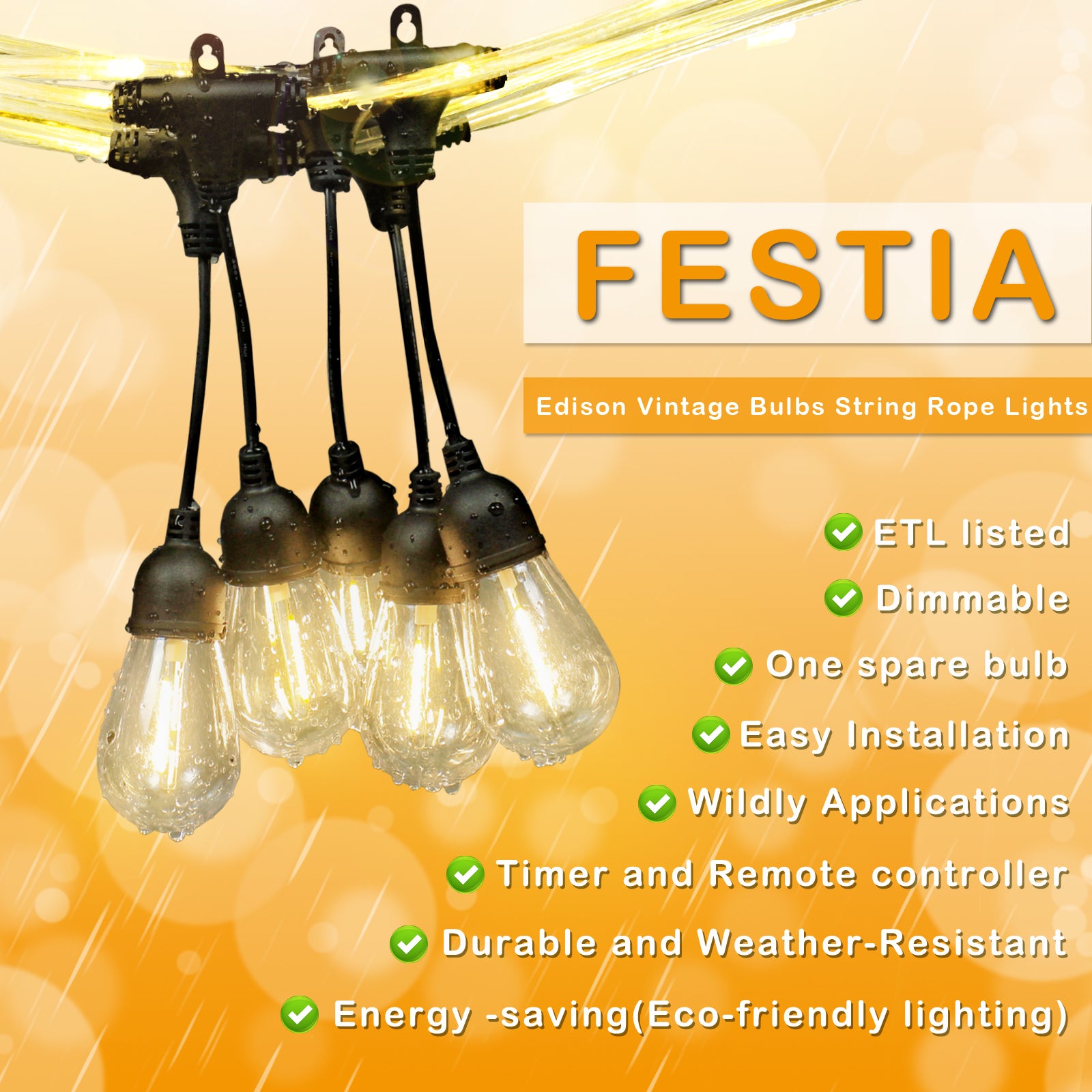 FESTIA LED Outdoor Edison String Lights - 28.2FT Waterproof with Remote｜12 Shatterproof Bulbs｜Timer & Memory Function｜Warm White 2700K
