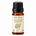 LitTerra Sweet Fennel Essential Oil - 100% Pure, 10 mL