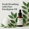LitTerra 尤加利葉精油 10 mL｜100% 純天然 Eucalyptus globulus 抗菌淨化芳療精油 LitTerra Eucalyptus Leaf Essential Oil 10 mL | 100% Pure Eucalyptus globulus Antibacterial Aromatherapy Oil