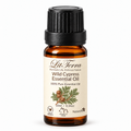 LitTerra Wild Cypress Essential Oil - 100% Pure, 10 mL
