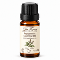 LitTerra 歐薄荷精油 10 mL｜100% 純精油